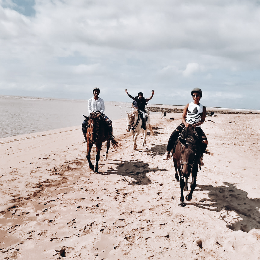 7b56fbc8-2f7a-41ea-885e-996c28410344_Original