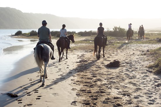 la-wild-coast-avec-wild